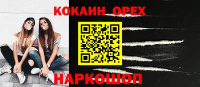крисы Пенза