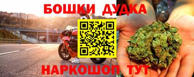 крисы Пенза