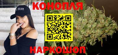 МДПВ Партизанск