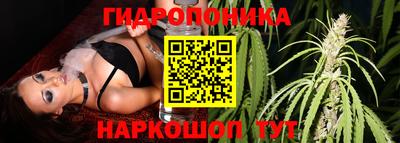 МДПВ Партизанск
