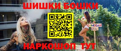 крисы Пенза