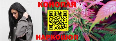 крисы Пенза