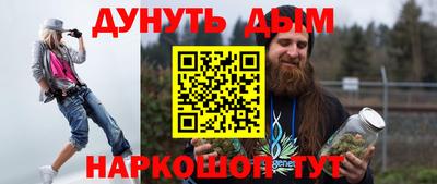 крисы Пенза