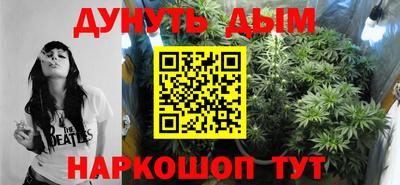 крисы Пенза