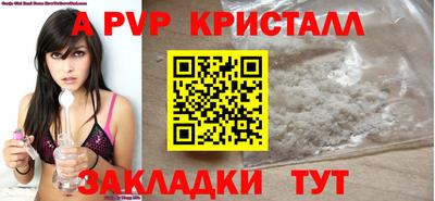 крисы Пенза