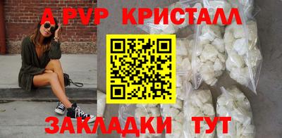 крисы Пенза
