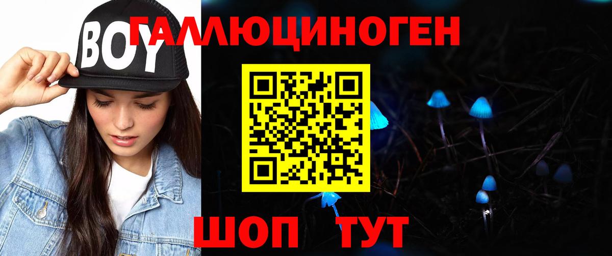 Псилоцибиновые грибы ЛСД  Псилоцибиновые грибы Cubensis  даркнет сайт  Вход с VPN  Менделеевск 